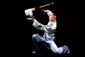 Image result for Wushu Tai Chi Club