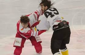 Image result for Sheffield Wildcats Rink Hockey and Roller Skating Club