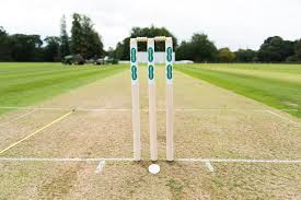 Image result for Antelope & Castle Cricket Club