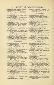 Attēlu rezultāti vaicājumam “Tischeria complanella larva”