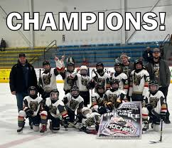 Image result for Adur Skater Hockey Club