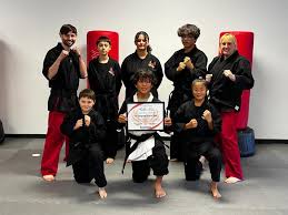 Image result for Phoenix Martial Arts