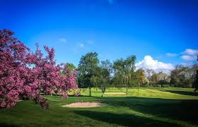 Image result for Henley Golf Club