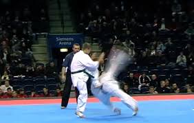 Image result for Kyokushin Karate