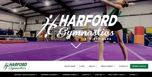 Image result for Harnham Gymnastics Club