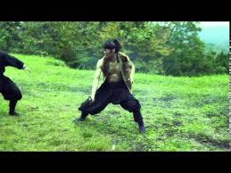 Image result for Hertfordshire Iga Ryu Ninjutsu