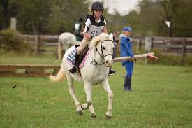 Image result for Patchett`s Green Riding Club