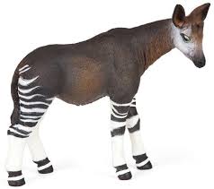 Image result for papop