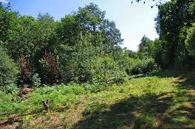 Image result for example