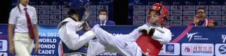 Image result for Taekwondo Witney