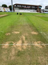 Image result for Buckhorn Weston Cricket Club