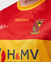 Image result for Moycarkey-Borris Gaa Club