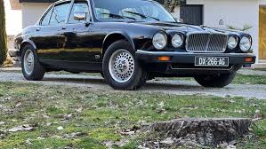 Image result for Black 1983 Jaguar
