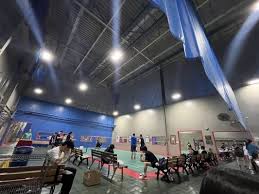 Image result for Cegelec Badminton Club