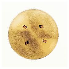 Attēlu rezultāti vaicājumam “Sordaria fimicola”