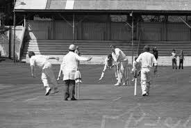 Image result for Seaham Harbour Cricket Club