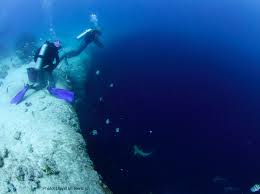 Image result for Deep Blue Diving