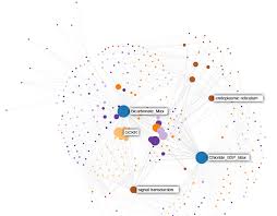 Image result for pheega