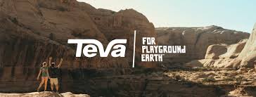 Image result for www.teva.es