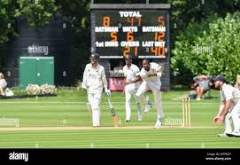 Image result for Henfield Cricket Club