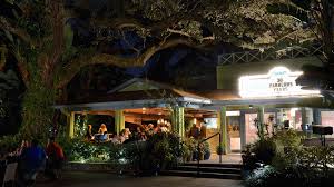 Image result for Enzian