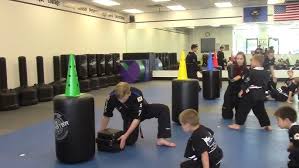 Image result for Skillz Martial Arts