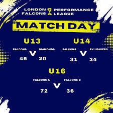 Image result for Normanton Falcons Netball Club