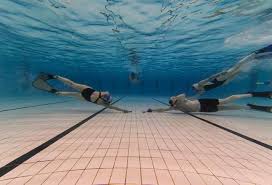 Image result for TAROT Octopush Club