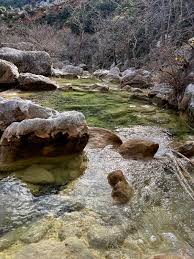 Attēlu rezultāti vaicājumam “Leporida”