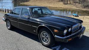 Image result for Steel 1986 Jaguar