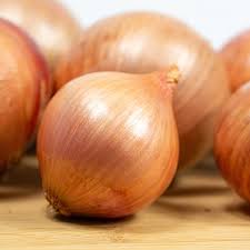 Image result for Zwiebeln