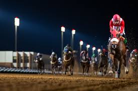 Image result for The Horse Racing Club