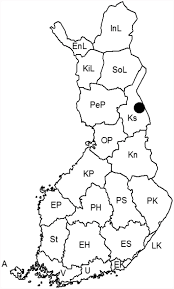 Attēlu rezultāti vaicājumam “Campylophyllum sommerfeltii”