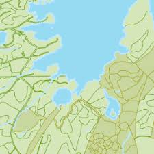 Attēlu rezultāti vaicājumam “Exochorda giraldii var. wilsonii”