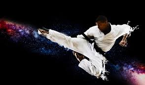 Image result for Independent Wadoryu Karate Federation