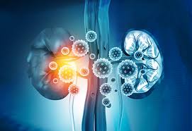 Image result for Peak Performance Ckd, Horley