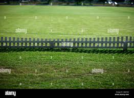 Image result for Challow and Childrey Cricket Club