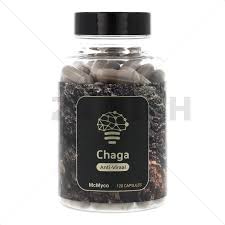 Attēlu rezultāti vaicājumam “Inonotus obliquus”