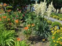 Image result for Sfânta Iuliana Falconieri