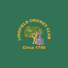 Image result for Lingfield Cricket Club