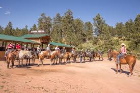 Image result for Palmers Riding Stables