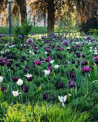 Image result for Ulf Nordfjell