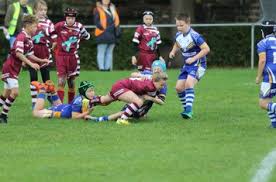 Image result for Thornhill Trojans Amateur Rugby League Football Club