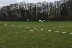 Image result for Shalford F C