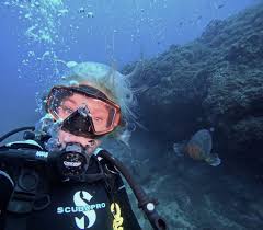 Image result for Manta Divers Sub-Aqua Club