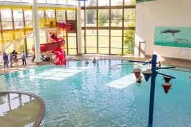 Image result for Chesterfield Swimming Club