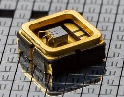 Attēlu rezultāti vaicājumam “Sorex sp.”