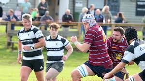 Image result for Crawley Rugby Club