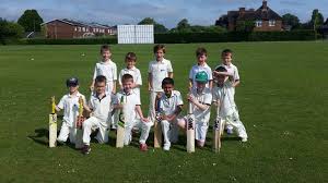 Image result for Ballinger Waggoners Cricket Club