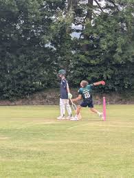 Image result for Chard Cricket Club